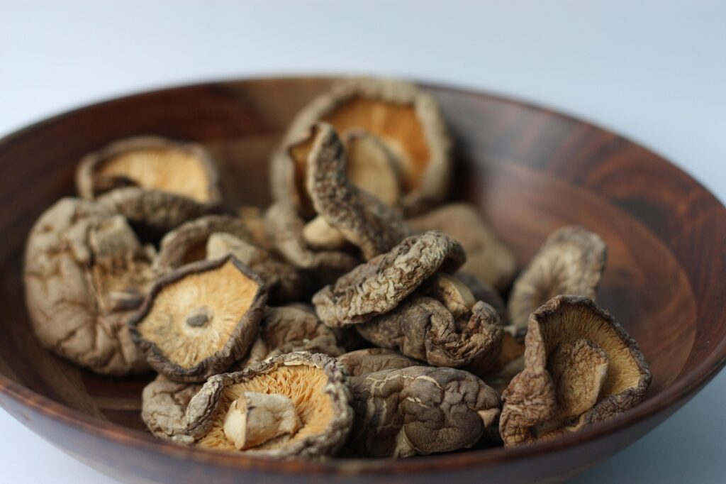 shiitake, dried, mushrooms, dried shiitake mushrooms, dried shiitake, fungi, healthy, medicinal mushrooms, dried mushrooms, edible, edible mushrooms, bowl, bowl of mushrooms, food, ingredients, shiitake, shiitake, shiitake, shiitake, shiitake, dried mushrooms, dried mushrooms